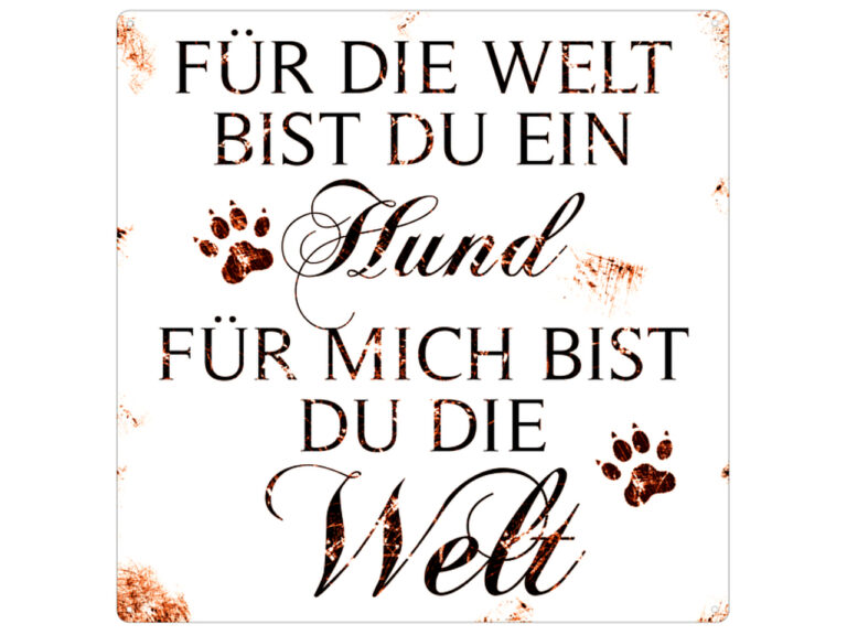 Blechschild „Für die Welt bist du ein Hund….“